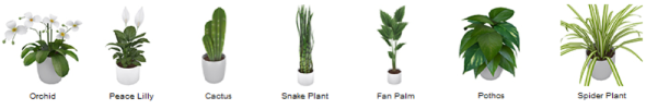 plantsnew